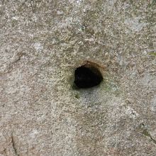 水が溜まっている穴