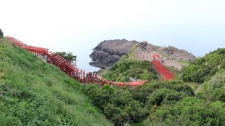 連続する赤い鳥居が魅力的