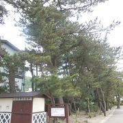 松林と弁天島をお散歩