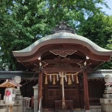 拝殿と新緑のイチョウ