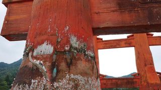 干潮の時に是非！