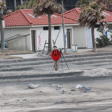 太東海水浴場付近でバードウォッチング