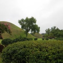 古墳公園の様子