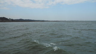 ハシジロアビを見てきました。