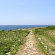 公園というより海沿いの遊歩道エリア