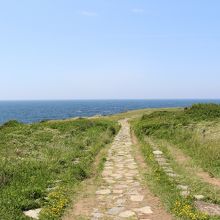 海に向かって伸びる遊歩道