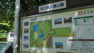 広々とした公園です