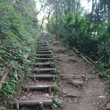 ずっとこんな登りです。