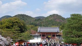 仁王門と金堂の真ん中