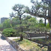 緑の多い遊歩道や児童公園