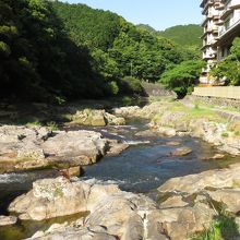 音信川沿いを散歩