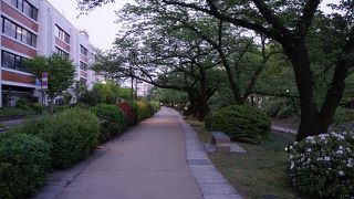 富山城や富山の歴史とともにあった場所