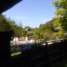 遠くに見える興福寺五重の燈です