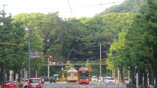 松山を象徴する乗り物