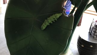 厚い信仰が伺えます