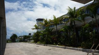 こじんまり、チョウチョ舞う空港