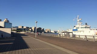 海が見渡せて癒される、とっても広い公園。