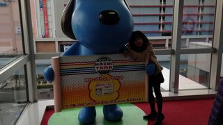 面白かったです