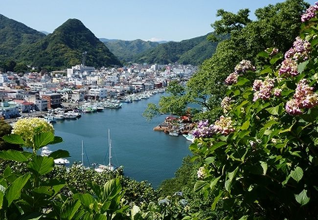 下田漁港が見えてきました