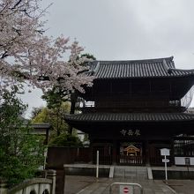 山門と桜。