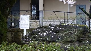 赤穂浪士のお墓と雨と散りゆく桜と