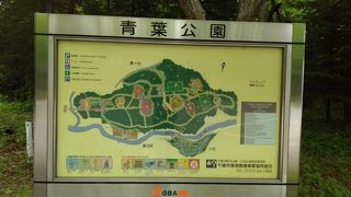 北海道らしい緑深い公園