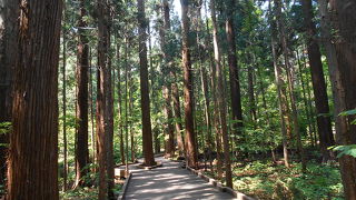 円山公園　遊歩道が出来ていました。