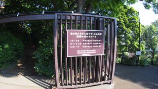 夏場は蚊に注意