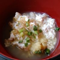 ゆし豆腐が美味しい