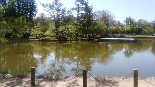 池に写る大仏殿