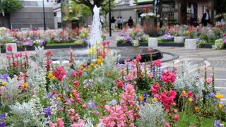 まちなかフラワースポットになっています
