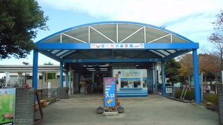 「世界のカメ展」を見てきました。