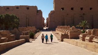 見るべき箇所は限られています