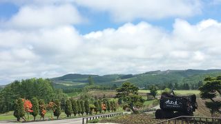 6月はまだ早い？