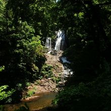 遊歩道終点から山道を登ると、木々の間から滝全容が見える