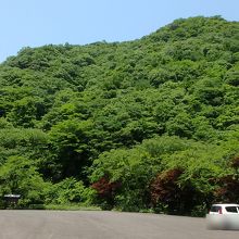 広々とした駐車場