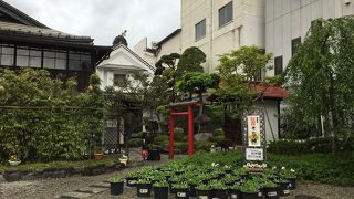 駐車場が広いです