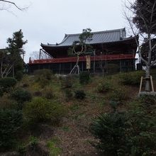 見上げたところ。