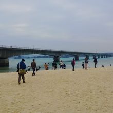 エメラルドグリーンのきれいな海が眺められます。