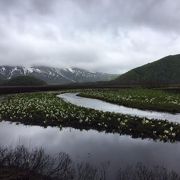 尾瀬のハイキングコース