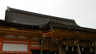 こうも違うものなんですね～