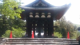 元旦に大勢が突ける鐘