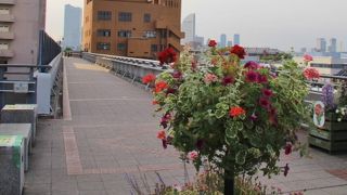 新港地区と山下公園とを結ぶ遊歩道