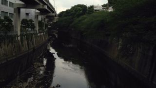 水源は井の頭池