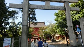 三大石鳥居の一つ、正面から入ろうね