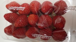 新鮮野菜が買えます