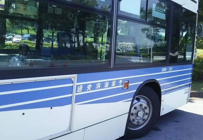千葉海浜交通 クチコミ・アクセス・営業時間｜幕張【フォー