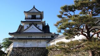 豊臣恩顧の大名ながら関ヶ原で家康に味方して土佐の国主となった山内一豊が縄張りした名城です。