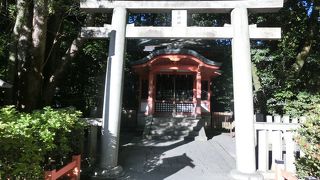 疫病よけに大きな茅の輪くぐりをする