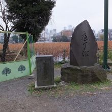 包丁の先っぽ、かなあ。